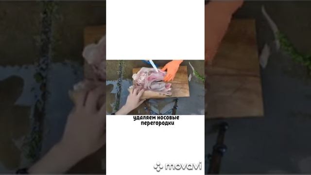 как чеченцы разделывают голову смотреть онлайн