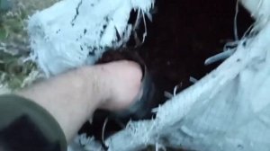 Кислый верховой торф, измерение кислотности, заваривание торфа, изменение показателей