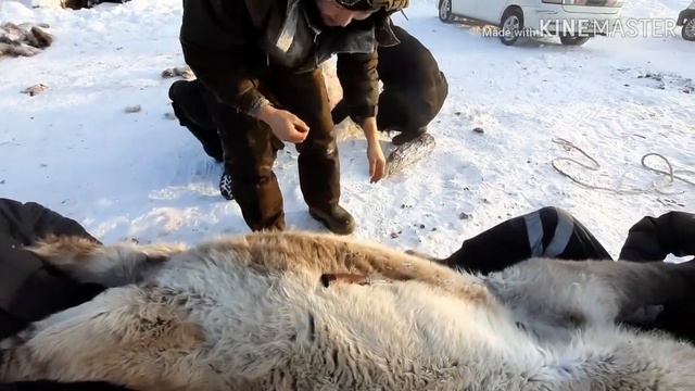 Идэьэ 2019 смотреть онлайн