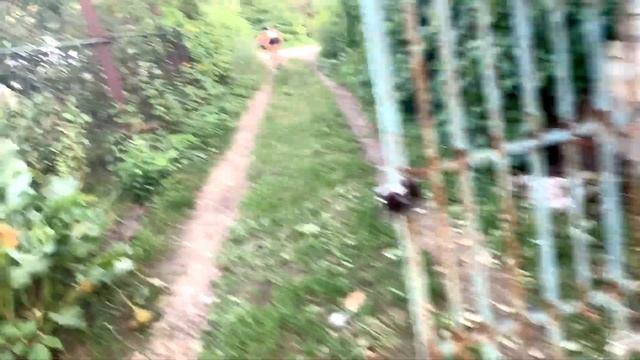 ОТДЫХ С СЕМЬЁЙ НА ДАЧЕ # БАНЯ # ПРУД # ШАШЛЫКИ???? ???✌️ смотреть онлайн