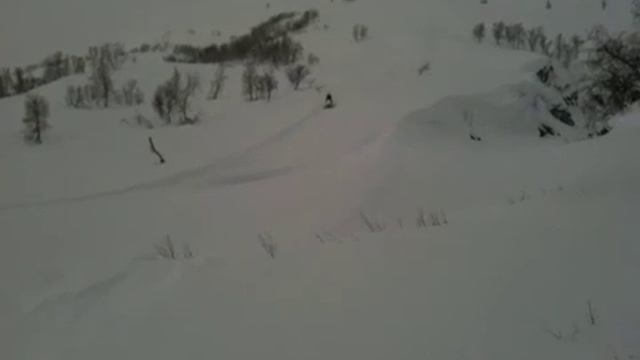 Lynx i dypsnø смотреть онлайн