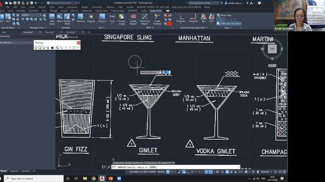 AutoCAD Raster Design by Acad Systems Sdn. Bhd. смотреть онлайн