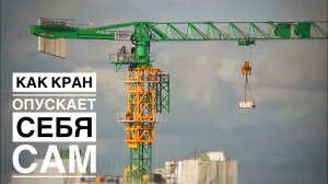 КАК БАШЕННЫЙ КРАН РАЗБИРАЕТ СЕБЯ САМ | Tower Crane Disassembly