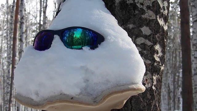 ОЛЯ  Привет от Гриб Грибыча УЛЫБНИСЬ