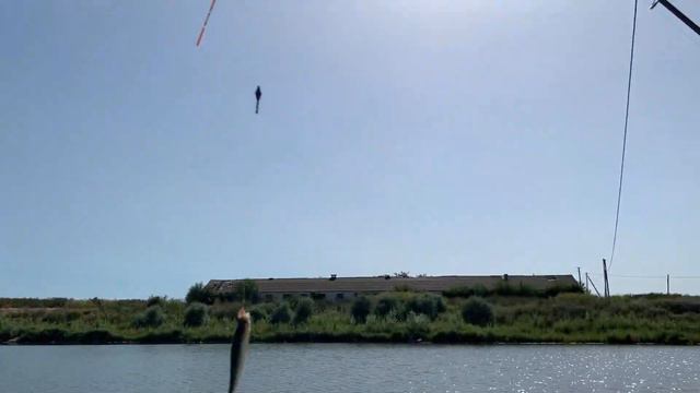 ЛОВЛЯ НА УДОЧКУ РЫБАЛКА В +40 | ПОСТАВИЛИ НА ЖИВЦА смотреть онлайн