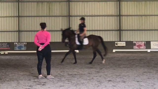 Oakley dressage with Hilary July 4 смотреть онлайн