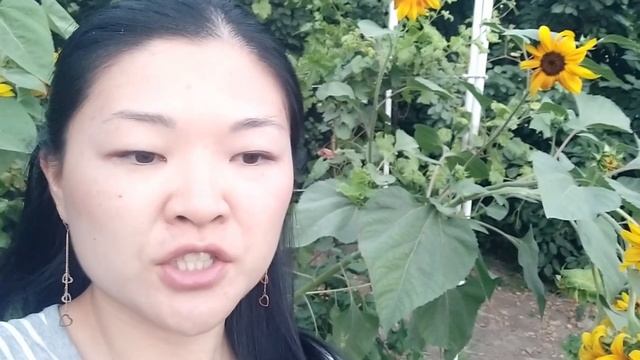 НЕ РЕКОМЕНДУЮ приезжать в Казахстан НА МАШИНЕ. Минусы жизни в городе Кызылорда смотреть онлайн