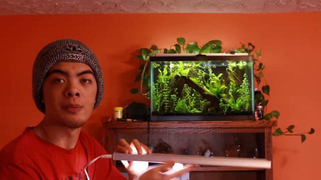 BUDGET $9 56-LED Light for the Planted Aquarium смотреть онлайн
