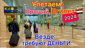 Улетаем и Обалдеваем: Везде Требуют Деньги! Трэш в аэропорту Хургада. В Чём Проблема? Египет 2024