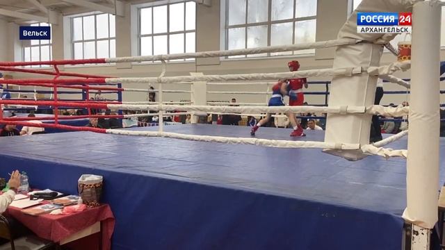 Видеосюжет с турнира по боксу памяти кавалера Ордена Мужества Дмитрия Щегурова (9-11.12.2022) смотреть онлайн