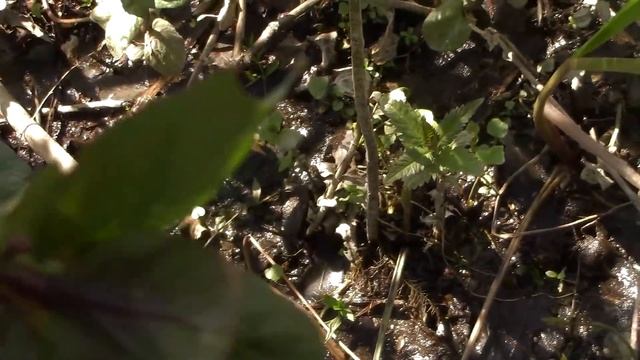 Исцеляющая велопрогулка Жизнь прекрасна Татьяна Беспалова смотреть онлайн