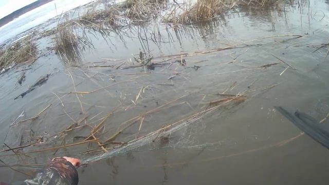 рыбалка сетями с другом весной смотреть онлайн