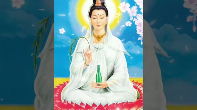 chỉ có phật A Di Đà mới có thể cứu chúng ta thoát ly sanh tử luân hồi смотреть онлайн