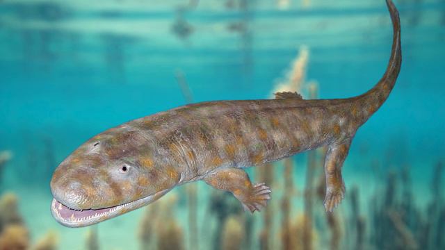 Ихтиостега и акантостега смотреть онлайн