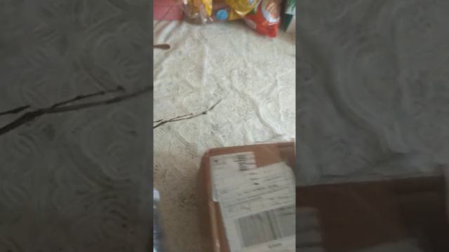 отзыв о питомнике "РУССКИЙ ОГОРОД" Заказ 1380718. "Золушка. отдыхает" смотреть онлайн
