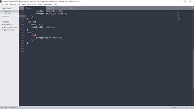 Как сделать пароль невидимым с помощью JS смотреть онлайн