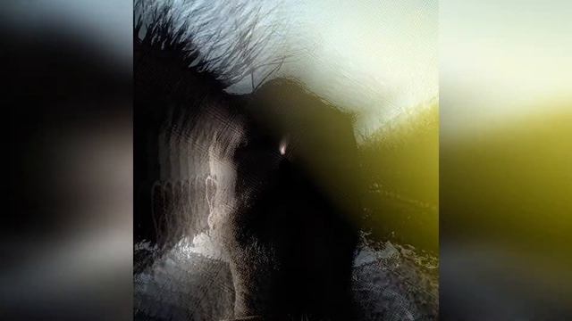 -- Bali -- смотреть онлайн