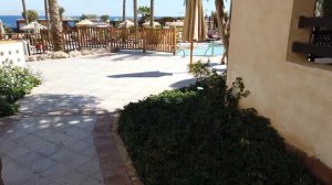 Обзор отеля The Grand Hotel Sharm El Sheikh 5* Отзыв о Гранд Отель Шарм Эль Шейх Египет