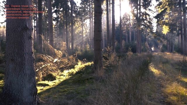 Снежные Впечатления