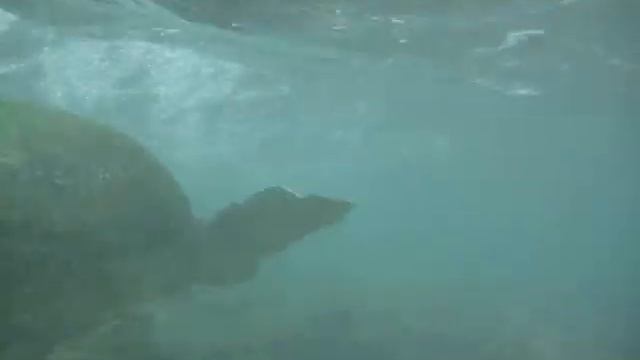 Sri Lanka 3.mpg смотреть онлайн