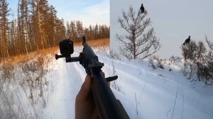 Охота на глухаря и тетерева / Боровая 2020 / уникальные кадры с охоты