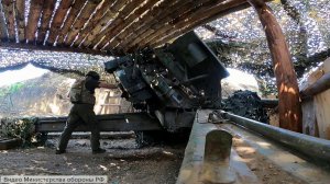 Группа диверсантов уничтожена на границе ДНР и Запорожской области