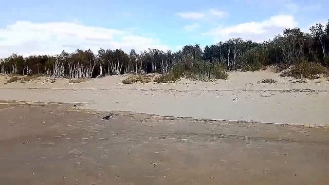 Макс Варвар. Поездка на Белое море, август 2022, вторая часть смотреть онлайн