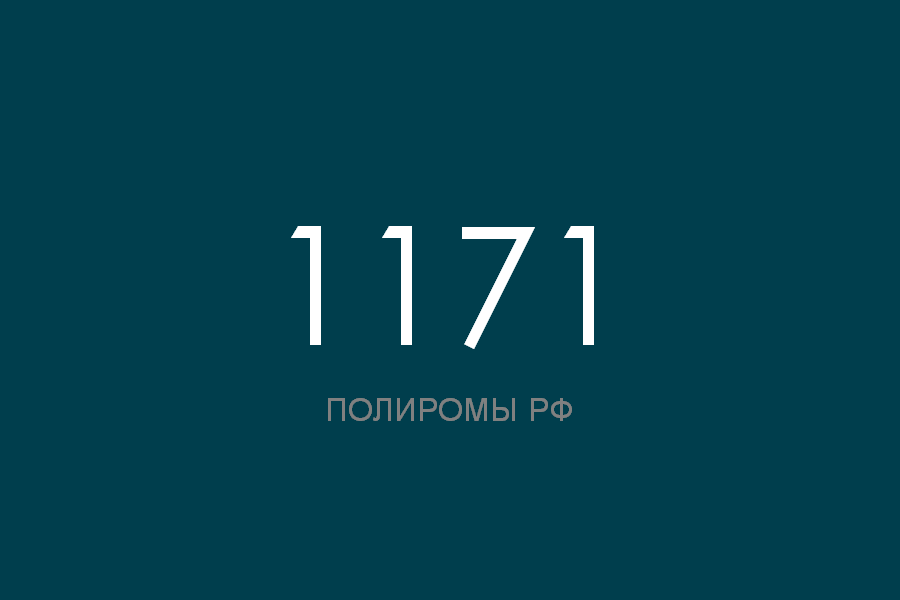 ПОЛИРОМ номер 1171 смотреть онлайн