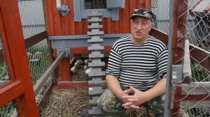 Самая простая выпойка для цыплят.