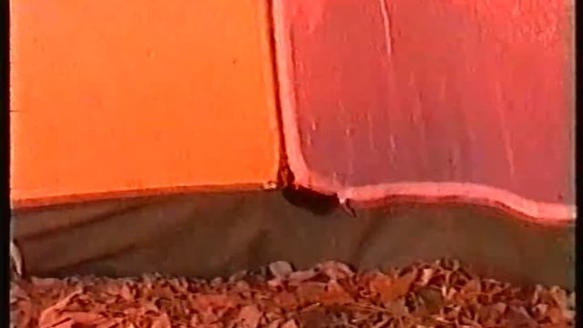 кот лапой открывает молнию палатки изнутри смотреть онлайн