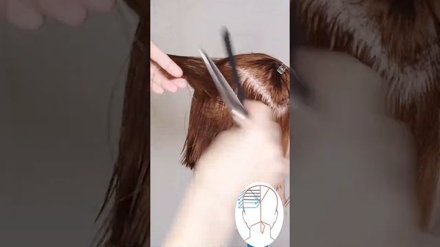 Стрижка затылка в схемах/ Подстричь волосы на макушке смотреть онлайн