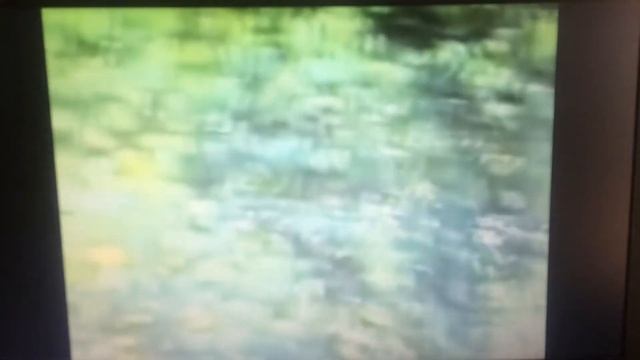 Все дойдём до клабика, потанцуем крабика смотреть онлайн