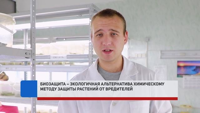 ЗНАК КАЧЕСТВА. ОВОЩИ смотреть онлайн