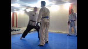 ДоМо контакт каратэ