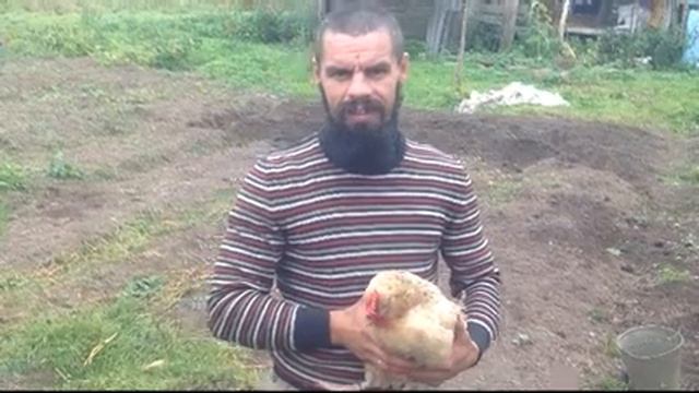 что с курицей смотреть онлайн