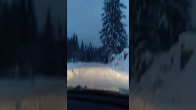 Romanian beautiful road in winter- Mestecăniș with Ford Kuga 2016 4x4 смотреть онлайн
