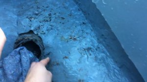 Что бывает когда нанести полиуретановую мастику на влажное основание.