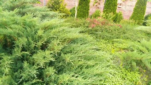 Апостол Фома. Продолжение следует Иаков меньший. смотреть онлайн