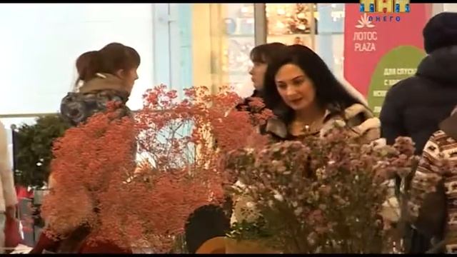 Полезная Информация 04.03.2016