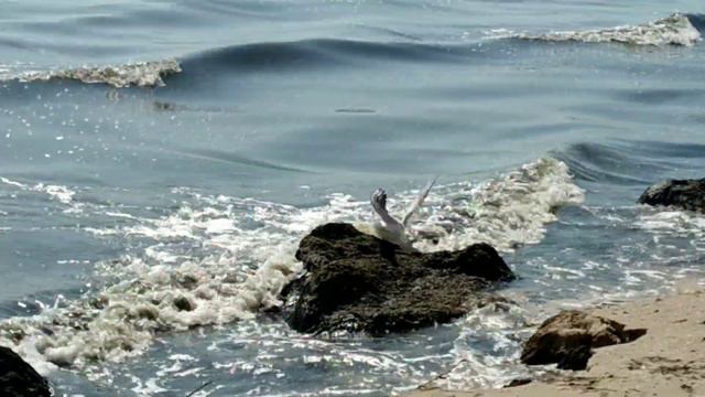 ТУБАЛ В НАЧАЛЕ СЕНТЯБРЯ 2019,,ЧТО С МОРЕМ,ШОК)!!! смотреть онлайн