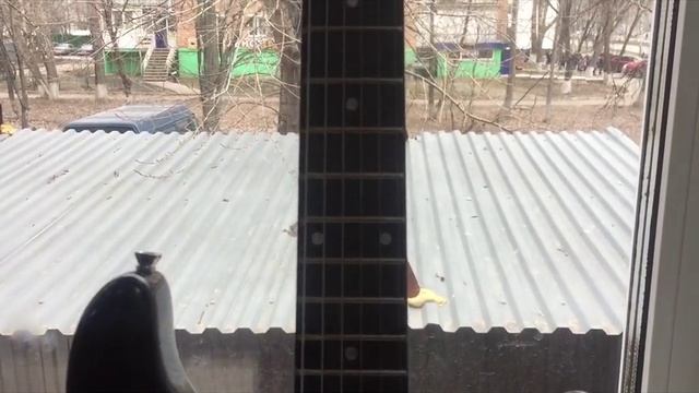 Видео №584224 смотреть онлайн
