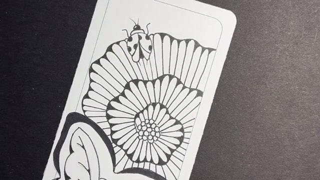 Chrysalis Sessions 6