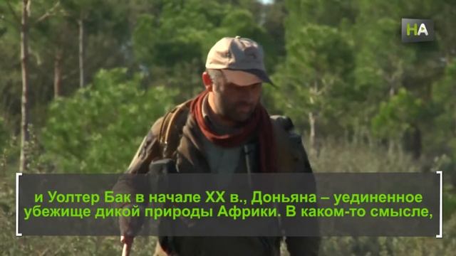 НА Хосе Мария Галан. Следы животных рассказывают историю фауны Парка Доньяна смотреть онлайн