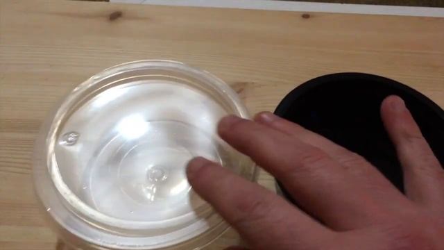 Дендробена. Упаковка для розничной продажи.