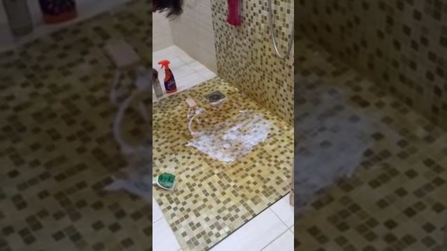 Эффективное моющие средство смотреть онлайн