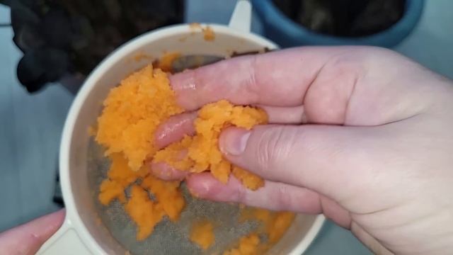 Замиокулькас ЛЮБИТ 3 этих ПРАВИЛА и тогда выдает много красивой листвы смотреть онлайн