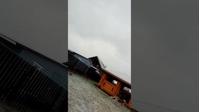 я в гостях у друга моего папы смотреть онлайн