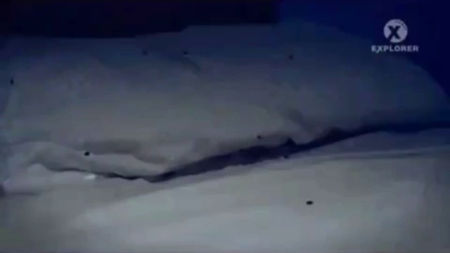 Где прячутся клопы и как клопы находят людей ночью смотреть онлайн