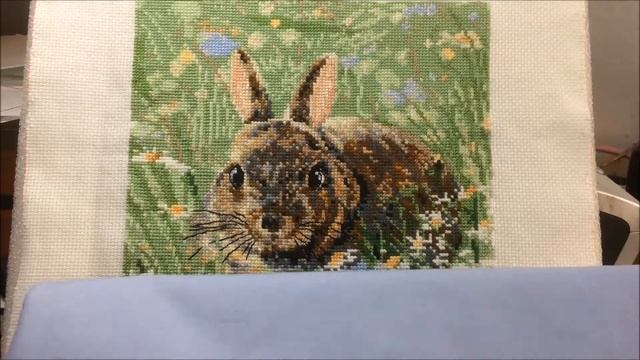 Будущая детская подушка. Woodland Bunny от Creative World of Crafts смотреть онлайн