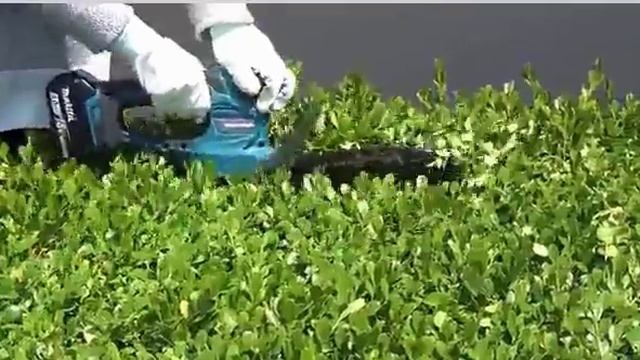 Máy cắt cỏ dùng pin DUM604 Makita смотреть онлайн